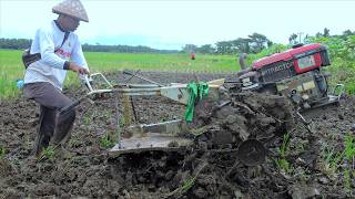 Tractors Tilling Turning The Rice Seedling Bed