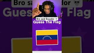 Bro definitely failed geography 💀 #guesstheflag #flags #quic #fyp #twitchclips