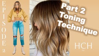 DIMENSIONAL REVERSE BALAYAGE TECHNIQUE: Episode 2, Part 2