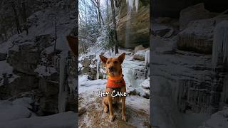 Who else likes chasing frozen waterfalls? 🖐 #HeyCane #Waterfall #Frozen #Hiking #AnglinFalls