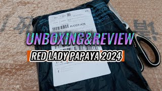 UNBOXING AND REVIEW ORIGINAL RED LADY PAPAYA KNOWN YOU SEEDS FROM LAZADA 2024