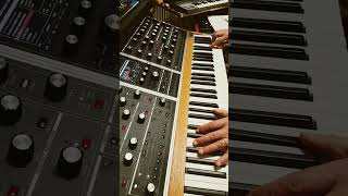 vangelis soundsbank for moog one.now available at graal7 channel