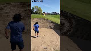 Dad's Near-Perfect Golf Shot to Escape Bunker BACKFIRES || Dogtooth Media