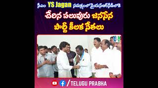 సీఎం YSJagan సమక్షంలో వైయ‌స్ఆర్‌సీపీలోకి చేరిన పలువురు జనసేన పార్టీ కీలక నేతలు | Telugu Prabha