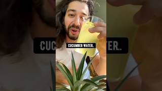 How to make a Plant Fertilizer out of Cucumber Peels | creative explained