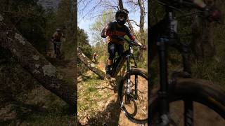 salto fra due alberi #mtb #mtblove #mtblife #mtbjumps