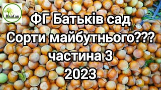 ФГ "Батьків сад". Американська селекція - врожайність. Частина 3