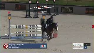 Regis GANDELON & Galaxy C (sired by WINNINGMOOD VD ARENBERG) -  Le Mans National Pro