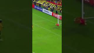 2do  penal fallado de bsc