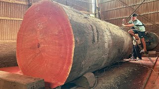 The Most Modern Fastest Cutting Saw // Huge Giant Tree Cutting Saw Machine With Unexpected Values