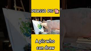 Pigcasso , a pig who can draw #hindi #shorts