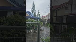 Its a rainy afternoon #typhoon #bagyo #danganddidi #trending #fypシ゚viral #shorts #rainyday #typhoon