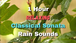 Classical Sonata Music and Rain Sounds - 1 Hour of Relaxing Classical Music and Nature Sounds