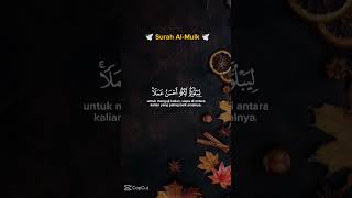 Al-Mulk #Di baca sebelum tidur#selamat dari siksa 𝕜𝕦𝕓𝕦𝕣#ngajionline