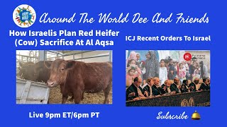 How Israelis Plan Red Heifer Sacrifice At Al Aqsa, ICJ Orders To Israel