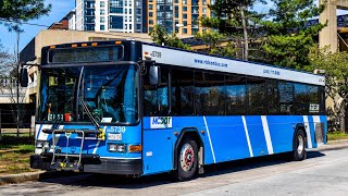 Montgomery County Transit Ride On 2008 Low Floor Gillig Advantage Diesel #5739 on Route 49 Rockville