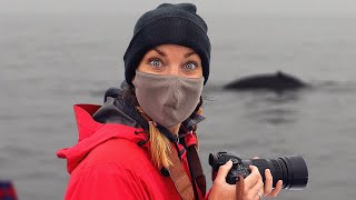 THIS IS THE LARGEST ANIMAL ON EARTH! - (Monterey Bay, California)