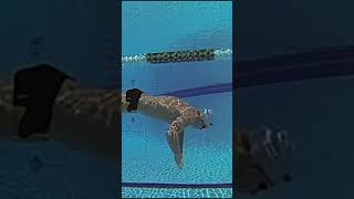 Martin Liivamagi:  Breaststroke Underwater Pull