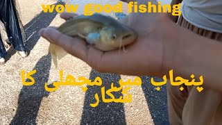 Fishing! amazing fishing video by Fisher man! catching fish in small stream of water