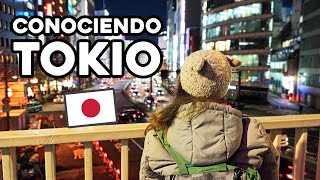 Conociendo Tokio + Mirador Gratis + Shinjuku