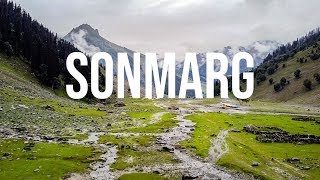 Ladakh Road Trip | Episode 11 | Thajiwas Glacier Trek In Sonmarg | #sonamarg #ThajiwasGlacierTrek