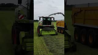 Claas Jaguar 980 / Fendt 724 😎😎 #grass #harvest #farming #tractor @JasperAgriFotografie