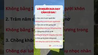 Lời người xưa #follower #giatricuocsong #viralshort