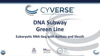 New DNA Subway Green Line - RNA-Seq with Kallisto and Sleuth