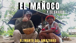 EL MAÑOCO Y EL CASABE,  ALIMENTO DE NUESTROS ANCESTROS DEL AMAZONAS. VENEZUELA