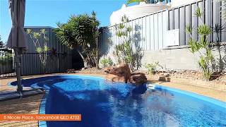 5 Nicole Place, Taroomball - For Sale with Adam Cook & Anna McPherson - Yeppoon Real Estate