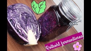 ❤  Rotkohl fermentieren ❤