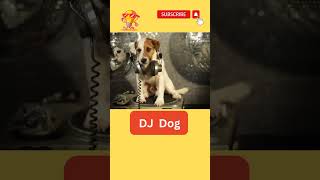 Dog's DJ dance #djviral #short #youtubeshorts #shorts #pet#dogparty #animal #doglover #dogshorts