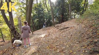 Sunny Autumn Walk in Vienna - Dehnepark & Rosental VR Walk | 4K 60FPS |