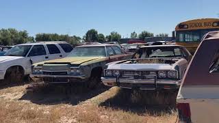 1973 Chevy salvage yard