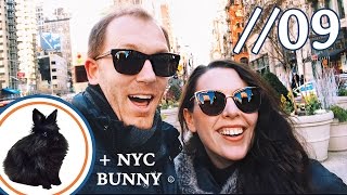 RUSSIAN BRUNCH IN NEW YORK + PET BUNNY