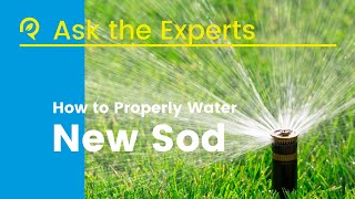 How to water your new sod