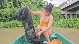 Bẫy cá bống lẫn bắt tép sông nhảy tanh tách thấy mê | TNTP T205 - Trap goby in the river