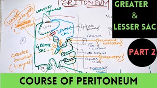 PERITONEUM ANATOMY | LESSER SAC| GREATER SAC | PART 2