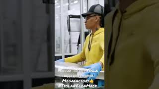 Новый завод Tesla - Megafactory.