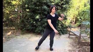 Adapted Form, Tai Chi Fundamentals