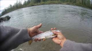 peche de latruite aux leurres poissons nageur et cuillères