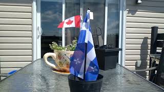 Joyeux Saint-Jean-Baptise! / Happy Saint-Jean-Baptise day!