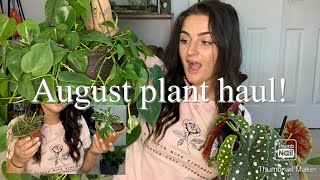 August Plant Haul | Over 20 House Plants!