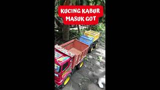 kucing kabur dari truk masuk got #Shorts