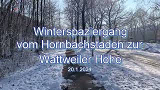 Winterspaziergang am Hornbachstaden zur Wattweilerhöhe