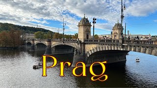 Yewropada geziljek in owadan we gadymy şäherlerden biri  Praga .