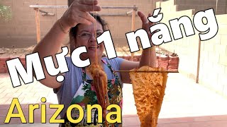 Mực một nắng mùa hè Arizona | Dung Võ Vàm Cỏ