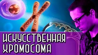 ИСКУССТВЕННАЯ ХРОМОСОМА [Новости науки и технологий]