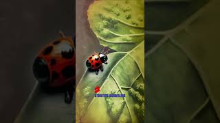 The #story of #firefly and #ladybug #viral #shorts #cc #storytime #wonderland #dream  #sleeptime