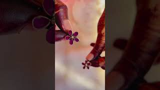 Flower Toe Ring (Ruby) | The Chandi Studio | #shortsvideo #youtubeshorts #shorts